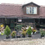 Roberts Nursery - @robertsnursery - Instagram
