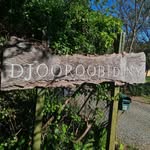 The Devlins - @robertsroadnursery - Instagram