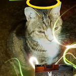 Robert Usher - @robert.usher.796 - Instagram