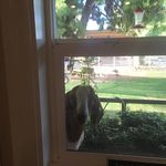 Robert Utter - @utterfly1 - Instagram