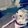robertamaruzzelli - @robertamaruzzelli - TikTok