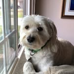 Robert Valeriote - @robertjvaleriote - Instagram