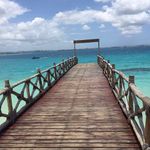 Roberto Vanaria - @robertovanaria - Instagram