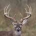 Robert Vandergriff - Facebook
