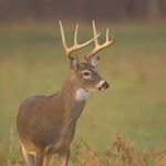 Robert Vandergriff - @robert101016802023 - Instagram