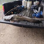 Robert Vandergriff - @rob8.59 - Instagram