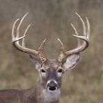 Robert Vandergriff - @robert.vandergriff.1671 - Instagram