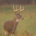 Robert Vandergriff - Facebook