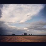 Robert Vandermark - @expertpoolpapa - Instagram