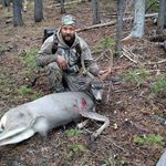 Robert Van Ness - @robert.vanness.625 - Instagram