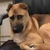 Robert Van Ness - Facebook