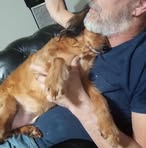 Robert Vanover - Facebook
