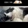 robertsonvanscoy057 - @robertsonvanscoy057 - TikTok