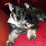 Robert Vargo - @longevity1943 - Instagram