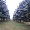robert___vas - @robert___vas - TikTok
