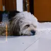 Robert - @_robert_vas - TikTok