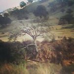 Robert Venable - @venablerobert - Instagram