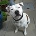 Robert Venables - Facebook