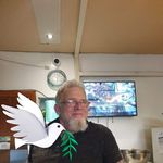 Robert Verhoeven - @robert10farmview - Instagram