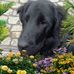 Robert Verhoeven - Facebook