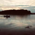 Robert Vertes - @r_t_vert - Instagram