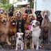 Robert Vickers - Facebook