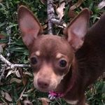 Robert Vickers - @robfromsouthtx - Instagram