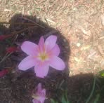 Robert Vidler - Facebook