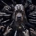 Robert Vidler - Facebook