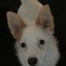 Robert Vidler - Facebook