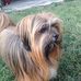 Robert Viens - Facebook