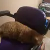 robertvigus0 - @robertvigus0 - TikTok