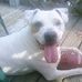 Robert Vigna - Facebook