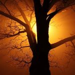 Robert Vigneau - @robertvigneau - Instagram