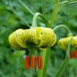 Robert Vignes - @robertvignes - Instagram