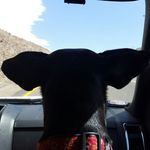 Robert Virgil Warren - @robertvwarren - Instagram