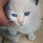 Robert.Virgilio. - @weeeciao22 - Instagram