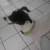 robertvitter - @robertvitter - TikTok