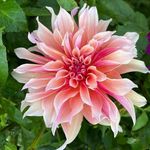 Robert Vorpahl - @vorpahl2409 - Instagram