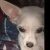 robertvotta - @robertvotta3 - TikTok