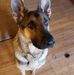 Robert Vreeland - Facebook