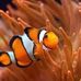 Robet Wak - Facebook
