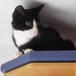 Robert Wagenknecht - @robertwagenknecht - Instagram