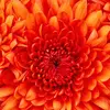 Robert Wages - @robert.wages5 - TikTok