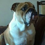 Robert Wait - @robertwait - Instagram