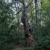 Robert Waite - @robert.waite1 - TikTok