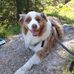 Robert Waldmann - Facebook