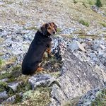 Robert Koch Waldner - @robertkochwaldner - Instagram