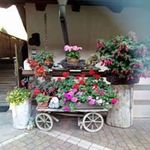 Roberta Waldner - @robertawaldner - Instagram