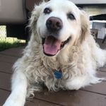 Robert Waldo - @bwaldo62 - Instagram